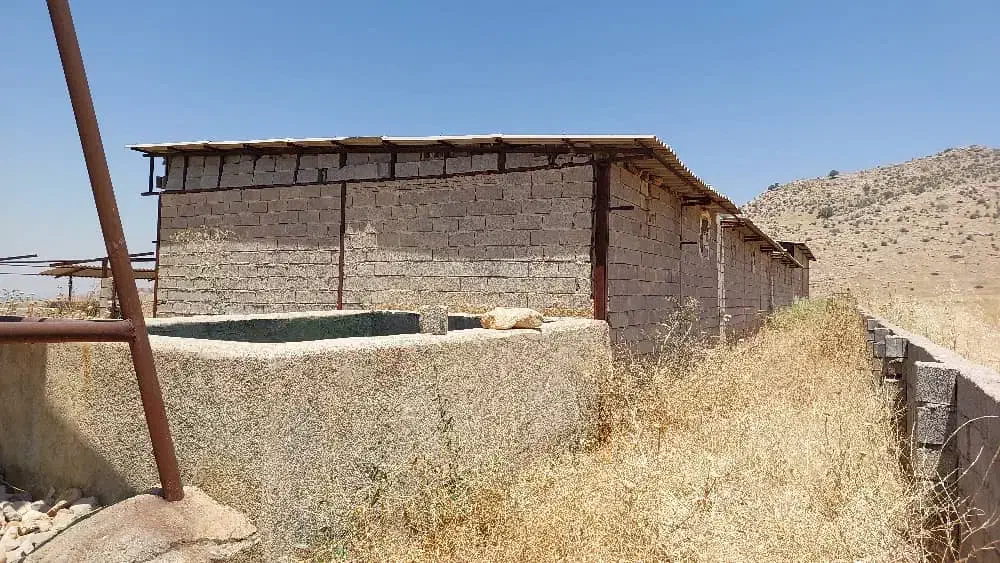 فروش یک واحد گاوداری به قیمت زمین کشاورزی|فروش دفتر صنعتی، کشاورزی، تجاری|نورآباد ممسنی, |دیوار