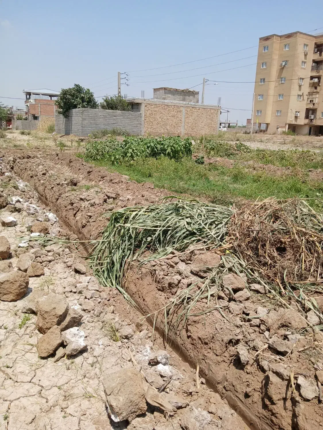 زمین ۱۰۰ متر زمین مسکونی ۳۳۰ میلیون معاوضه طلا|فروش زمین و ملک کلنگی|گالیکش, |دیوار