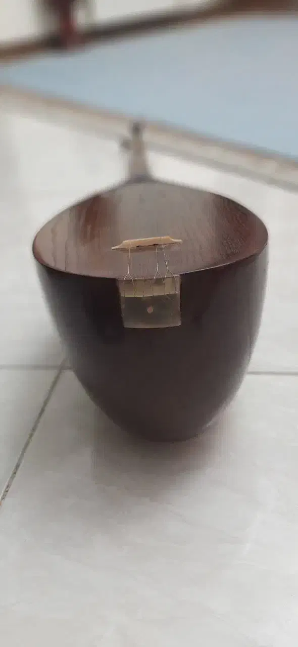 تنبوربراخانی|سازهای سنتی|تهران, وردآورد|دیوار