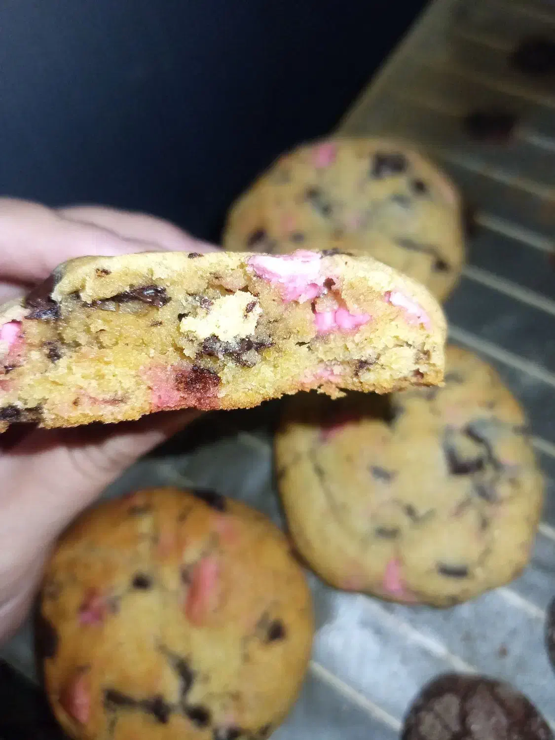 کوکی شکلاتی تازه|خوردنی و آشامیدنی|قم, باجک دو|دیوار