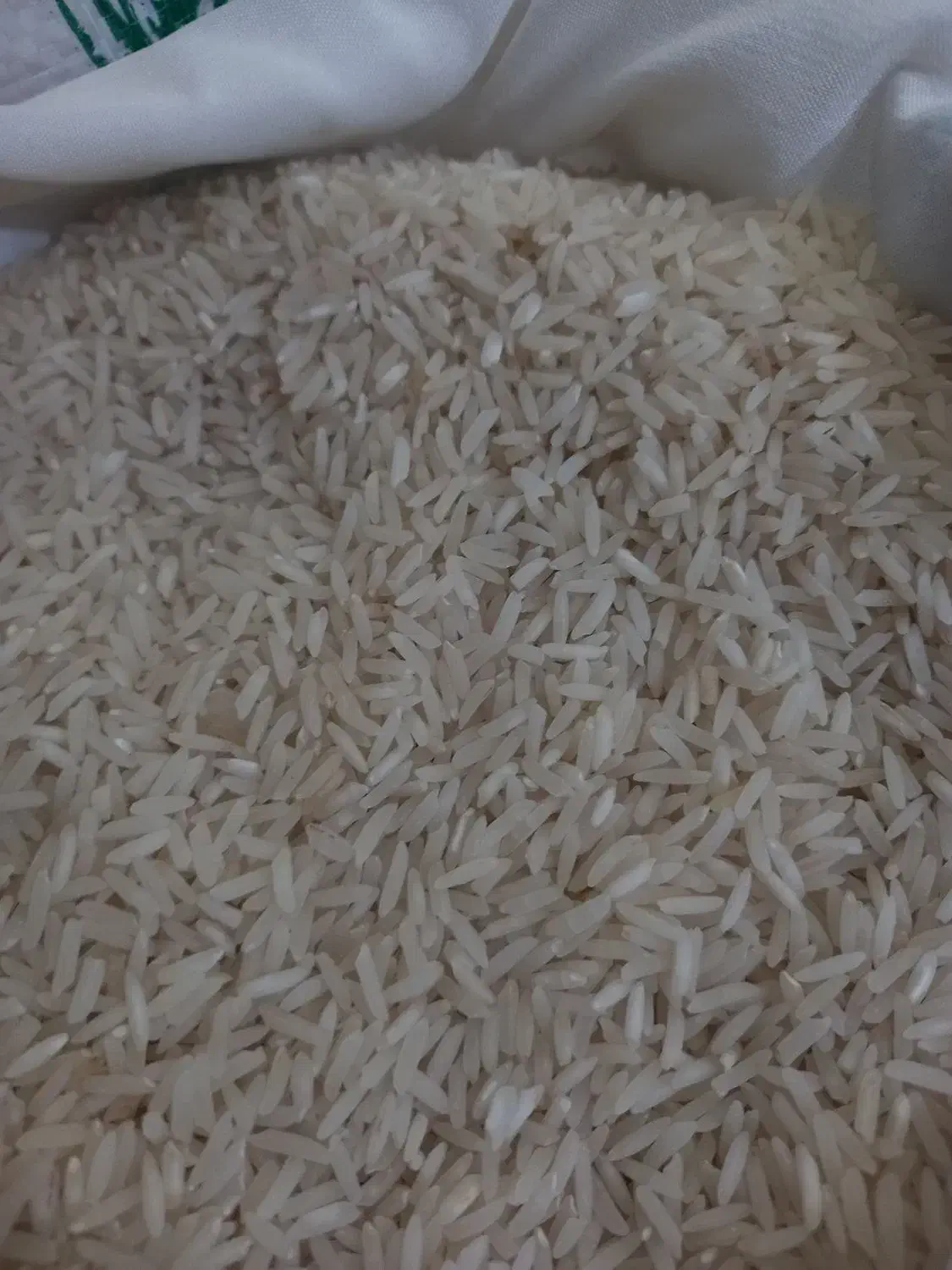 علی کاظمی محلی و سرلاشه هاشمی|خوردنی و آشامیدنی|محمدیه-قزوین, |دیوار