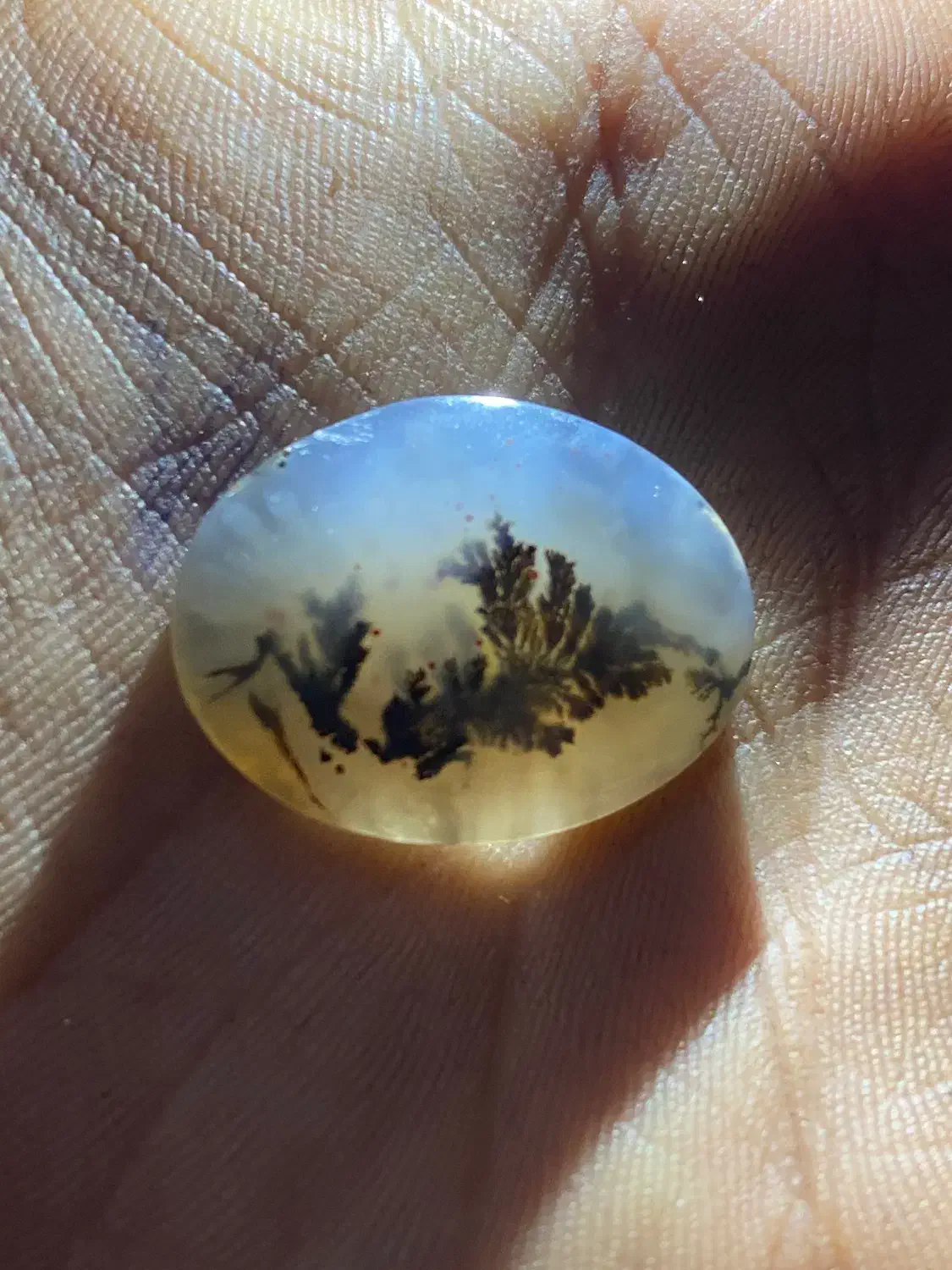 شجر نگین|جواهرات|زرند, |دیوار