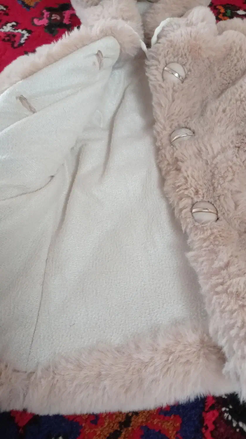 کاپشن پشم|لباس|آذرشهر, |دیوار