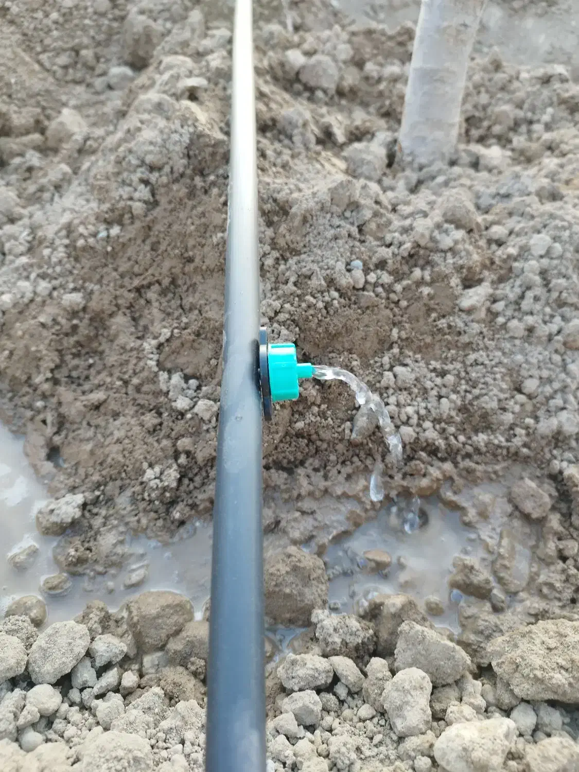 آبیاری قطره ای، بارانی، پلی اتیلن|خدمات باغبانی و درختکاری|شهریار, شهرک اداری تندگویان|دیوار