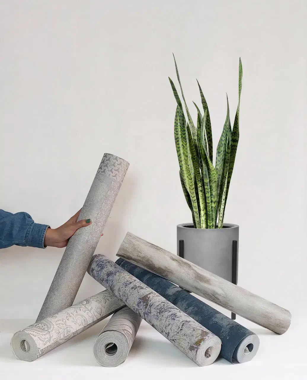 پخش کاغذ دیواری های ساده تک رنگ - عمده - سفارشی|خدمات پیشه و مهارت|اصفهان, باغ زیار|دیوار