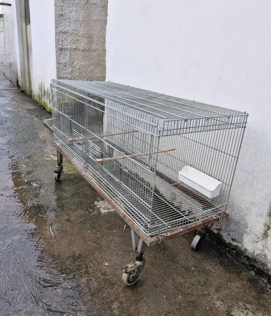 قفس قناری|لوازم جانبی حیوانات|عباسآباد, |دیوار