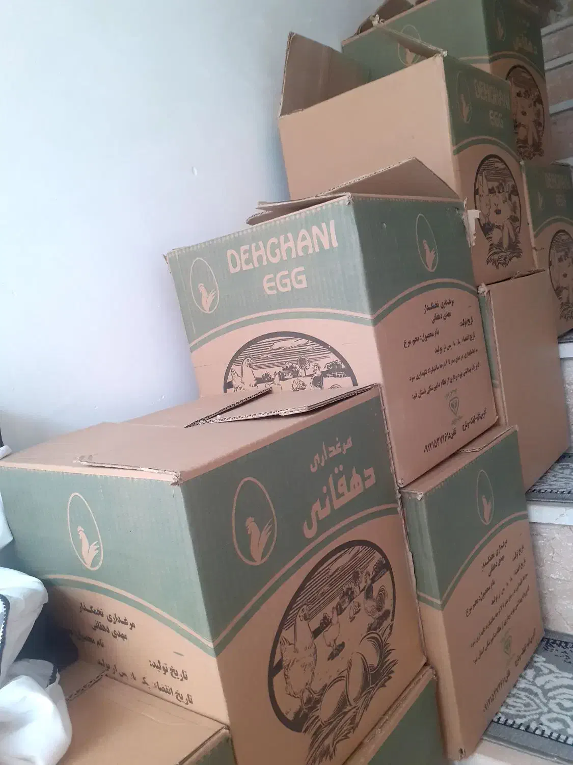 تخم مرغ کارتونی(۱/۶۰۰/۰۰۰)|خوردنی و آشامیدنی|کرمانشاه, |دیوار