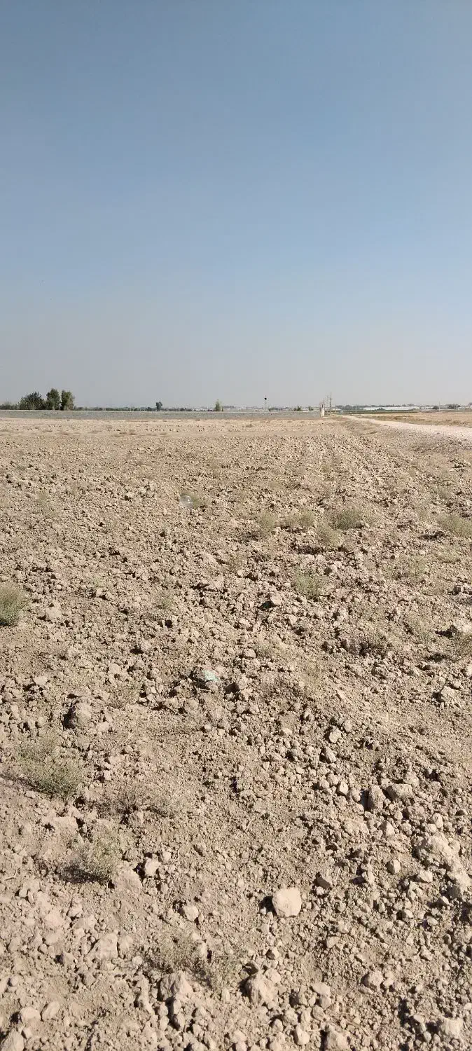 زمین دوربر تفکیک شده|فروش دفتر صنعتی، کشاورزی، تجاری|پاکدشت, پاکدشت (مامازند)|دیوار