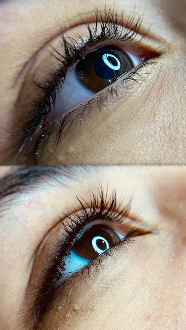 بن مژه فقط ۱۵۰ تومان|خدمات آرایشگری و زیبایی|مشهد, میعاد (شهرک غرب)|دیوار