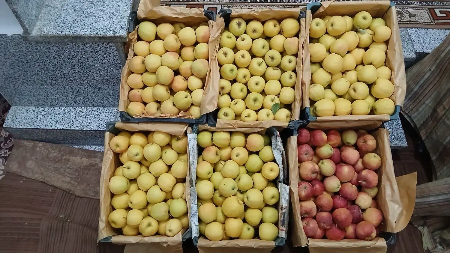 سیب قرمز وسفید|خوردنی و آشامیدنی|تخت سلیمان, |دیوار