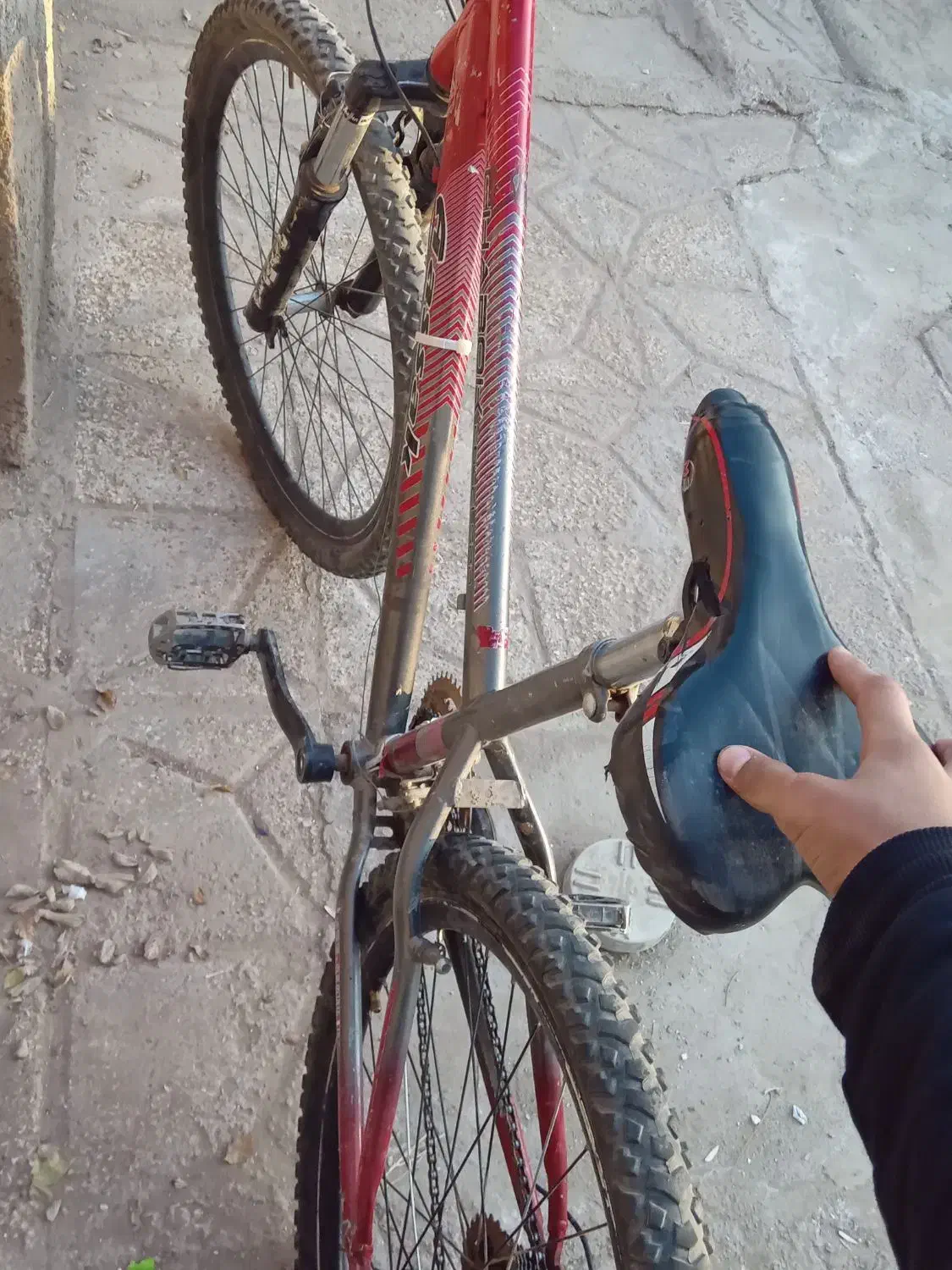 فروش دو عدد دوچرخه|دوچرخه، اسکیت، اسکوتر|بوژگان, |دیوار