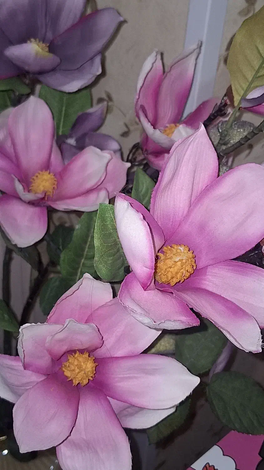 تزئینی|گل مصنوعی|بندر انزلی, صابرحنان|دیوار