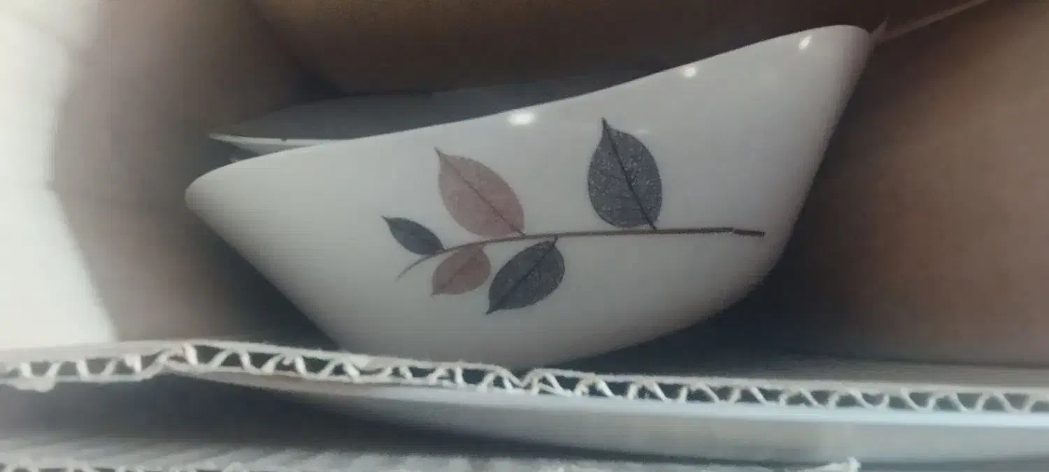 چهار دست آرکوپال شش نفری|ظروف سرو و پذیرایی|پیشوا, |دیوار