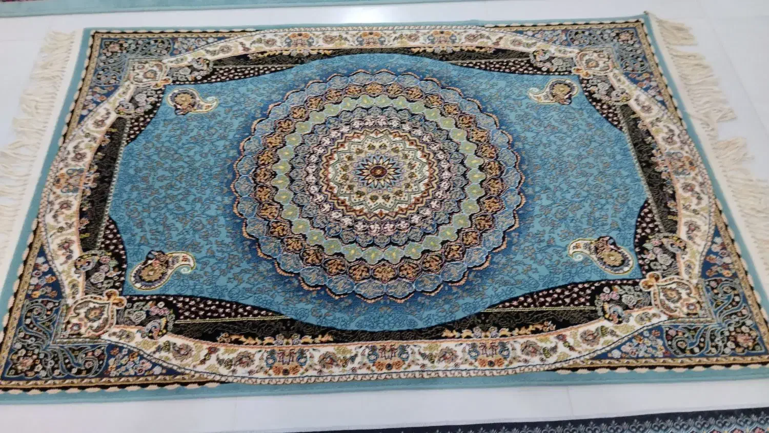 فرش فانتزی شش متری و قالیچه یک و نیم در یک|فرش|سبزوار, شرق کال عیدگاه|دیوار