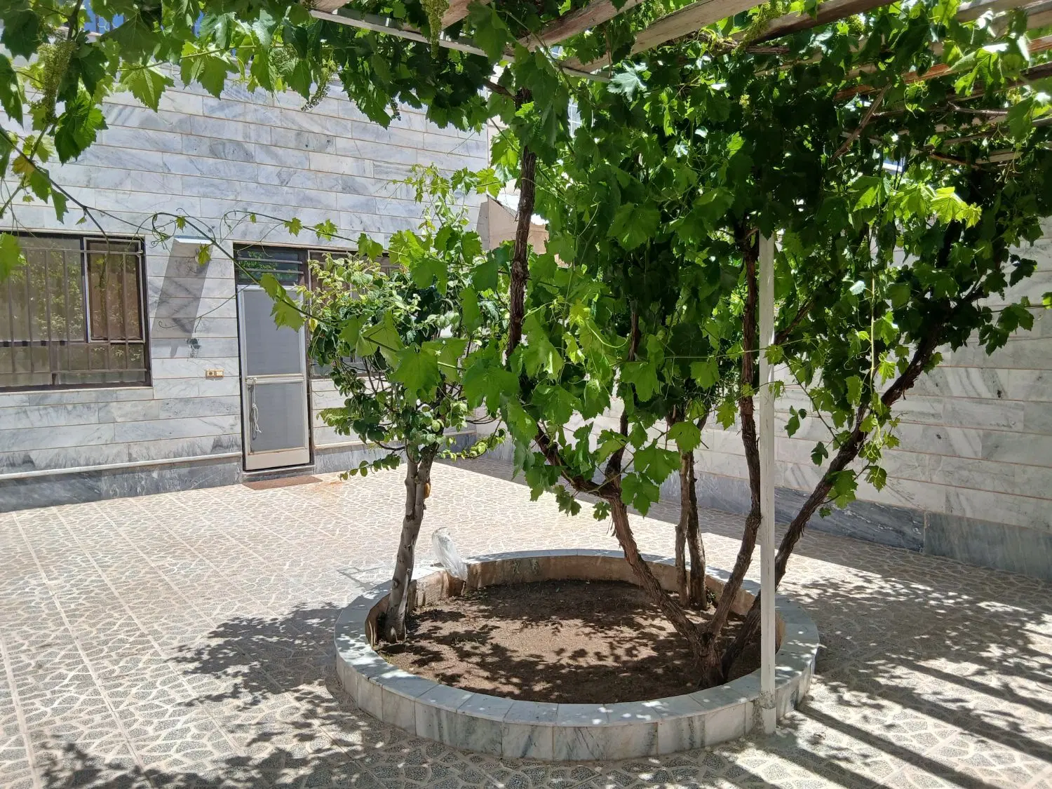 تصویر 2