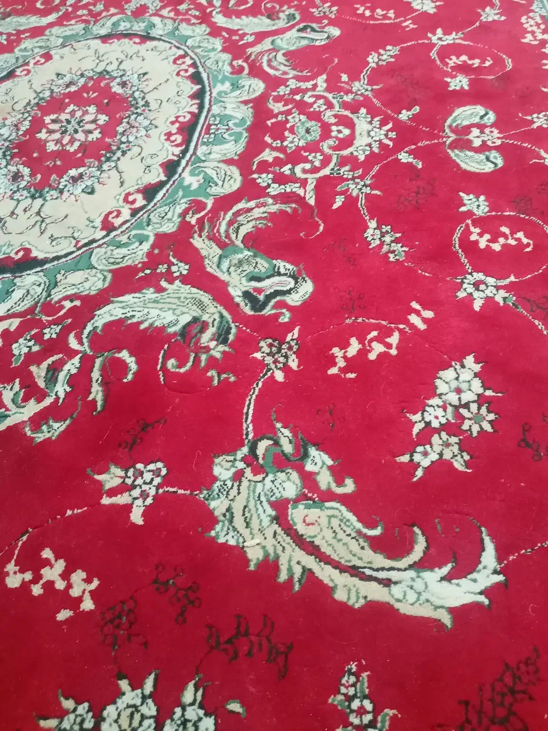 قالی قرمز|فرش|شیروان (خراسان), |دیوار