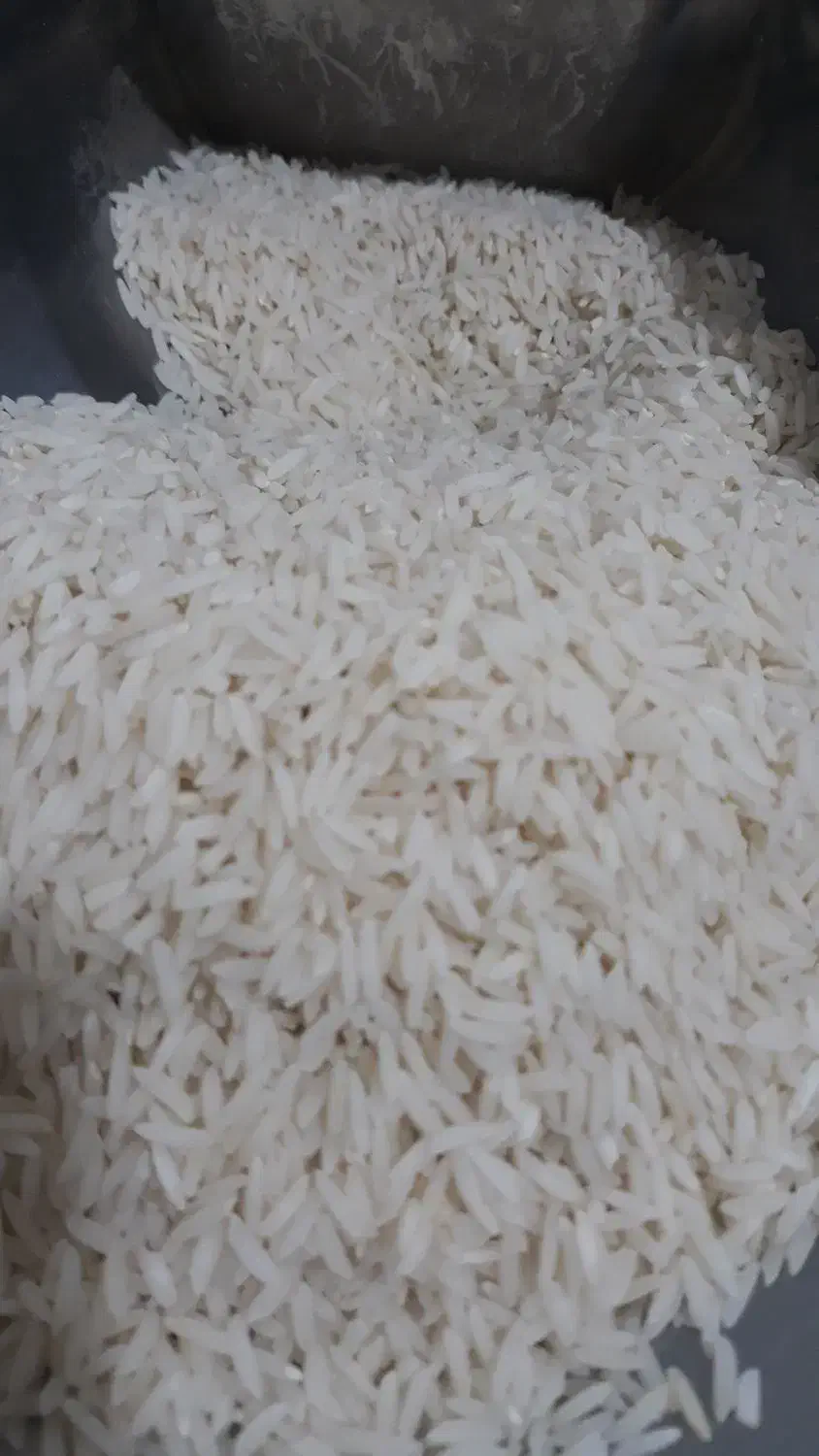 برنج هاشمی، آرد برنج، بادام درختی و حبوبات|خوردنی و آشامیدنی|ساوه, |دیوار