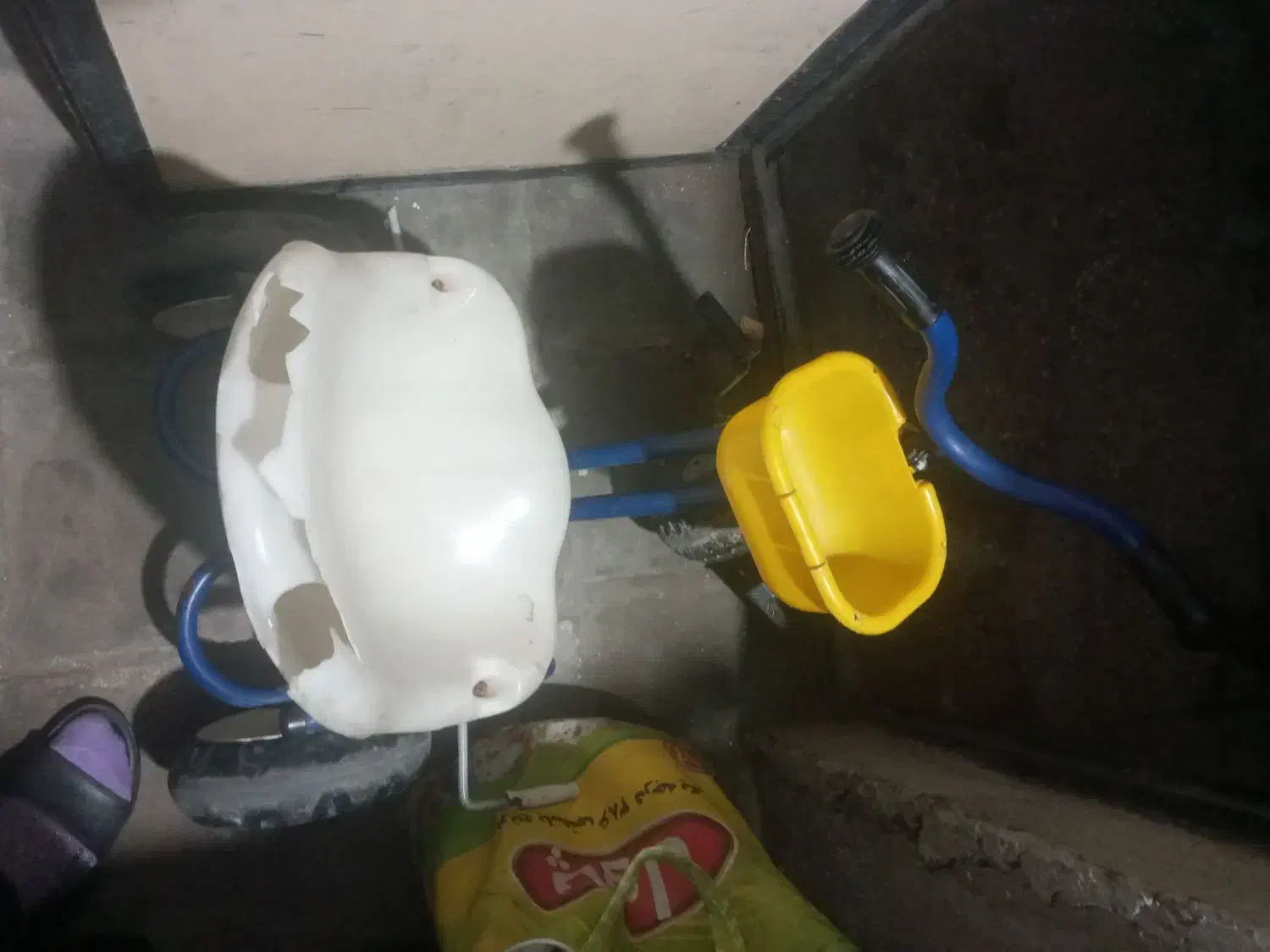 سه چرخه|دوچرخه، اسکیت، اسکوتر|گرگان, |دیوار