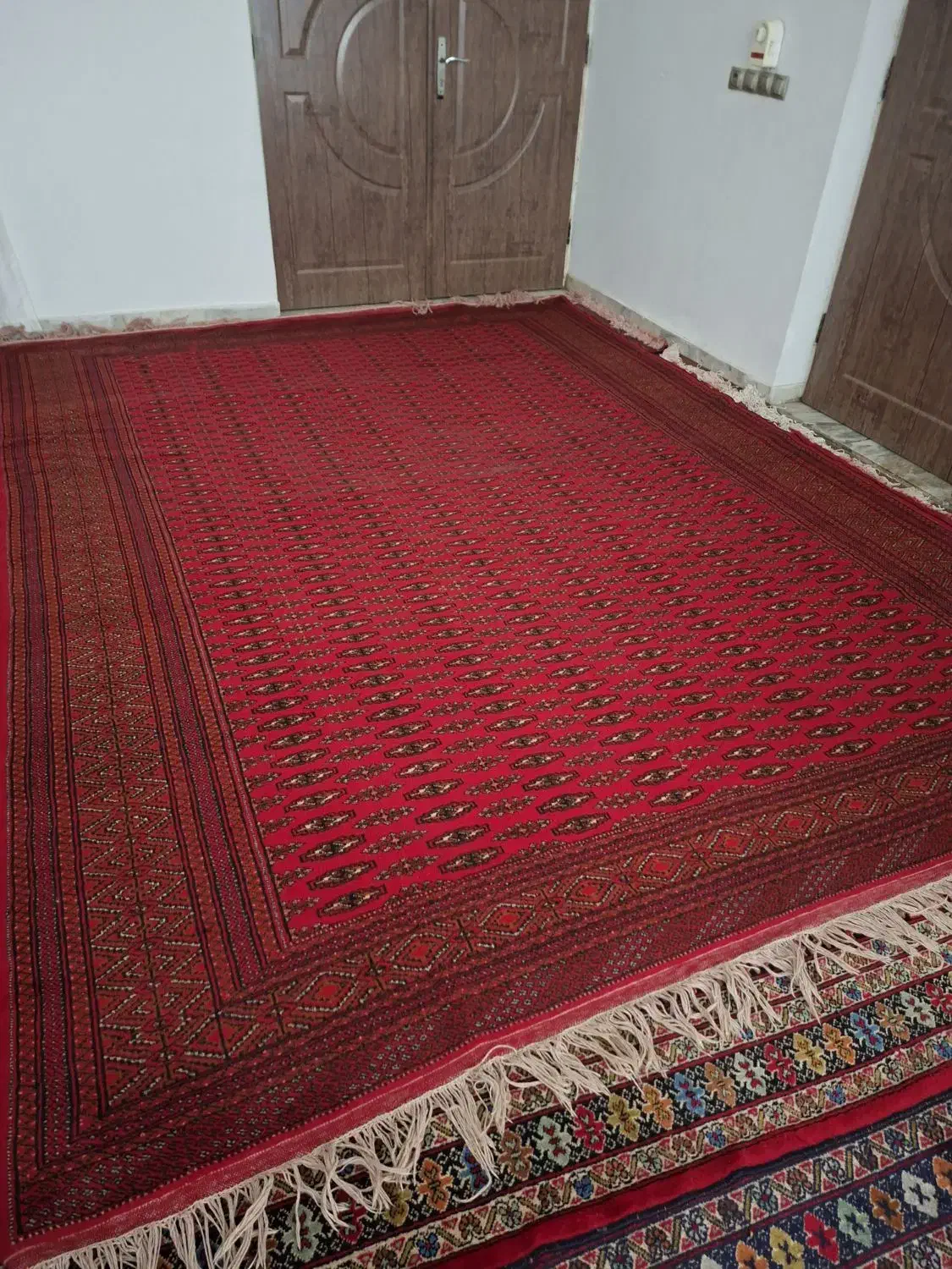 فرش دستباف ترکمنی|فرش|گنبد کاووس, |دیوار