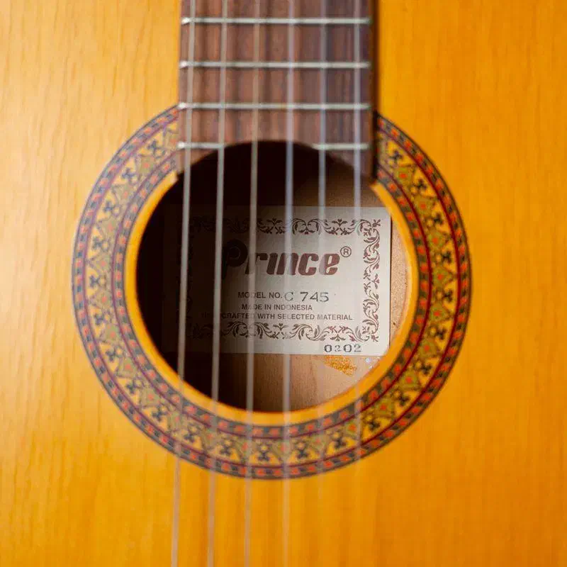 گیتار prince|گیتار، بیس، امپلیفایر|قم, آلوچو|دیوار