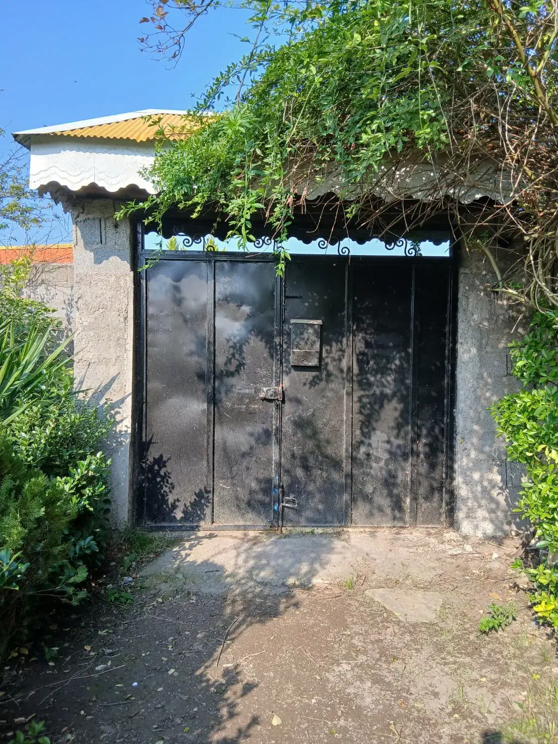 در حیاط|مصالح و تجهیزات ساختمان|خمام, |دیوار