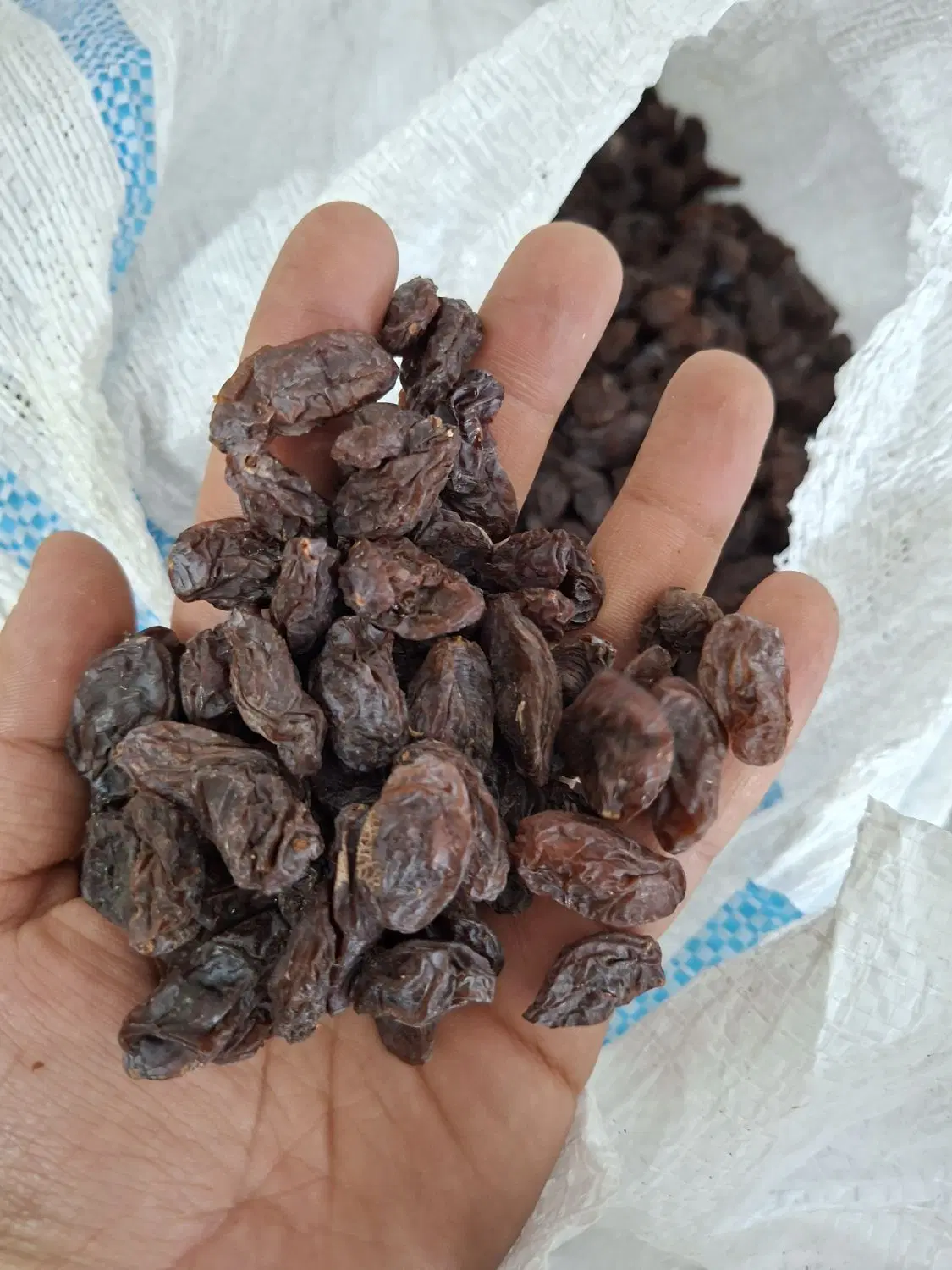 مویز|خوردنی و آشامیدنی|نجف‌آباد, باغ ملی|دیوار
