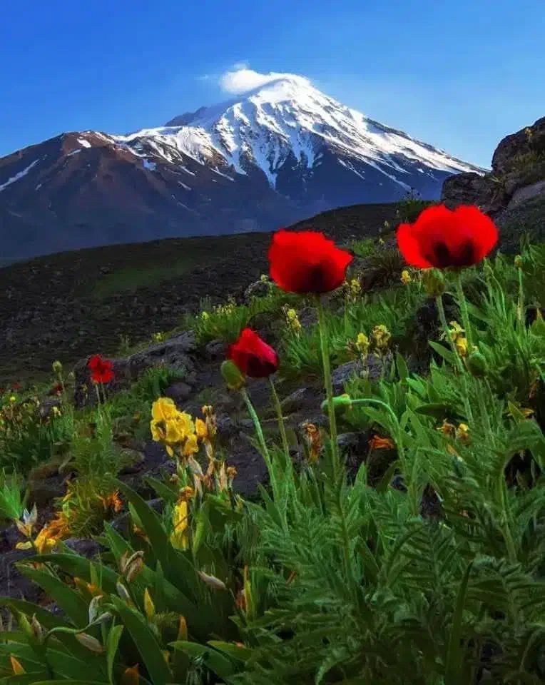 ویلایی ۱۰۵متری ۲ خوابه زرهی شبان|فروش خانه و ویلا|شیراز, زرهی|دیوار