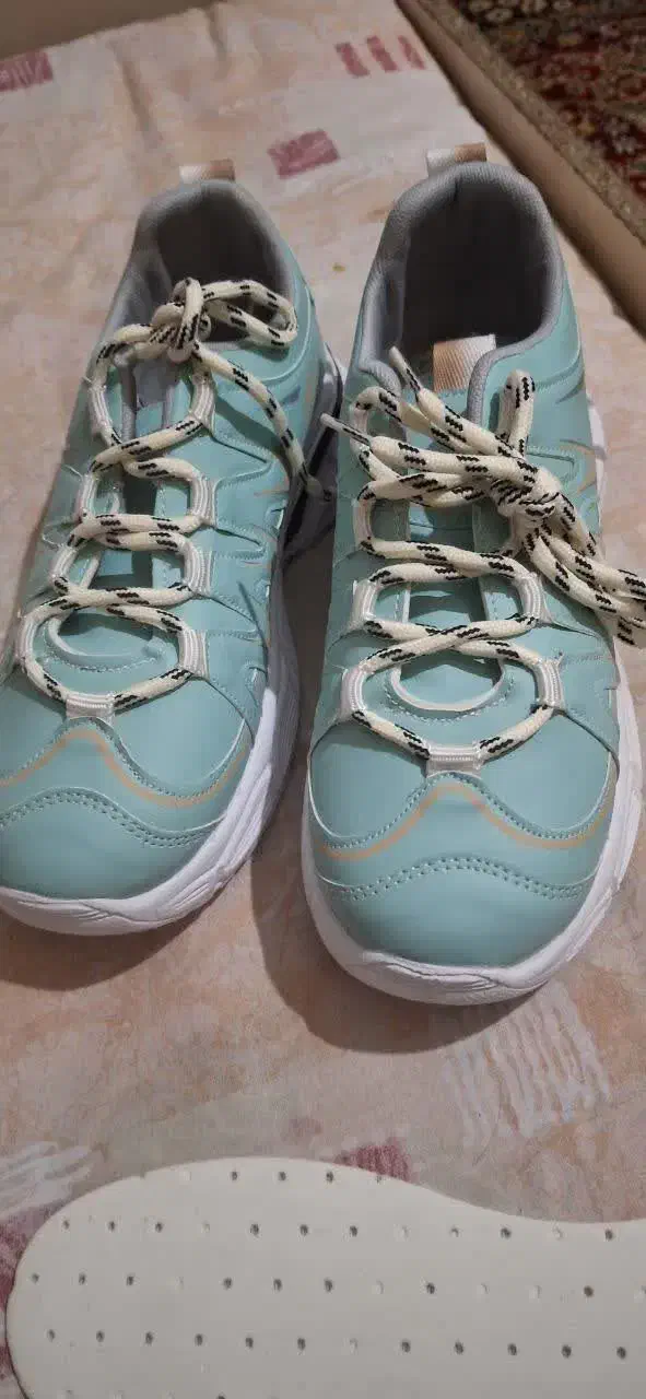 کفش|کیف، کفش، کمربند|جهرم, |دیوار