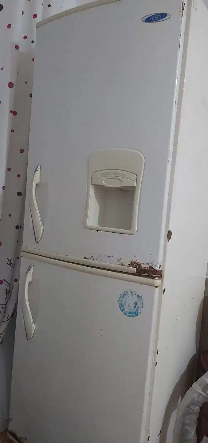 یخچال فریزر|یخچال و فریزر|بوشهر, |دیوار