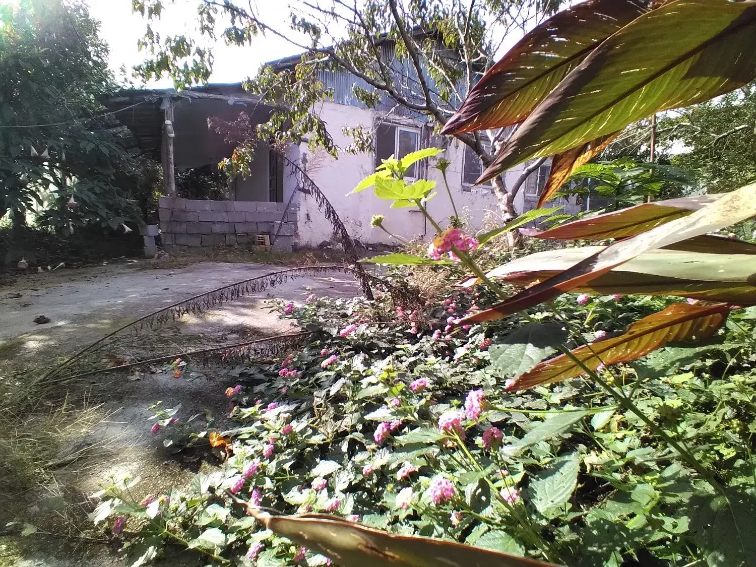 زمین ۴۳۰متری با خانه ۷۰متری|فروش زمین و ملک کلنگی|رضوانشهر, |دیوار