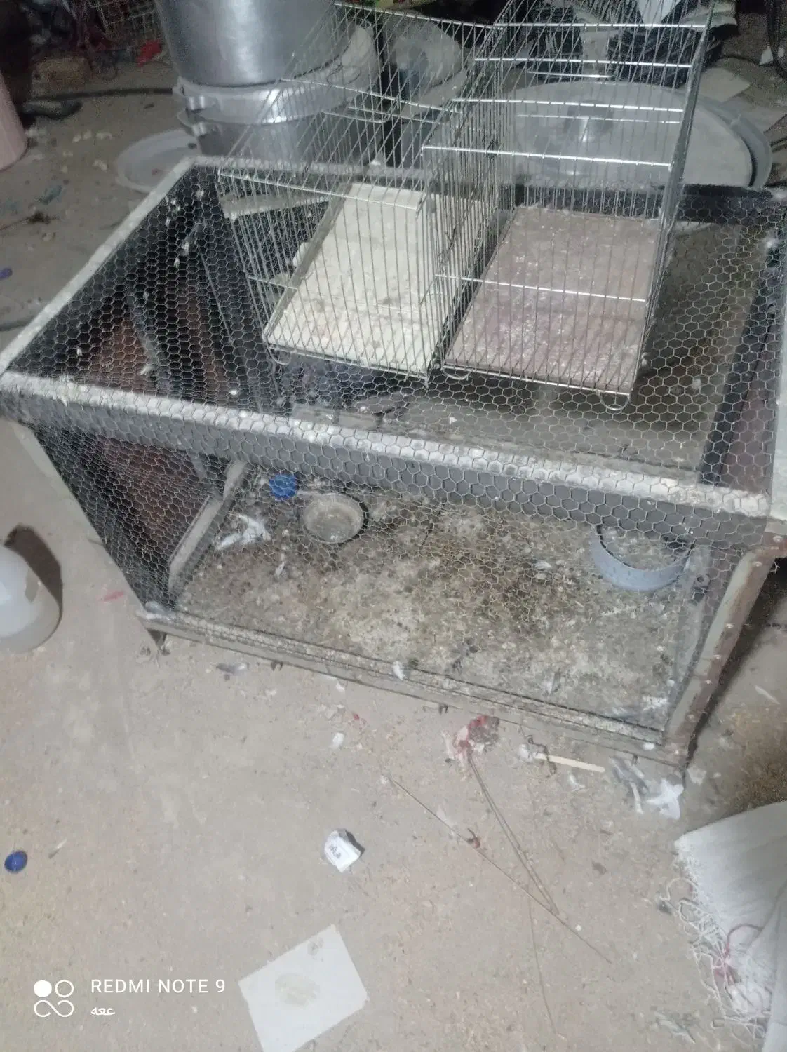 سع عدد قفس خوب|لوازم جانبی حیوانات|بمپور, |دیوار