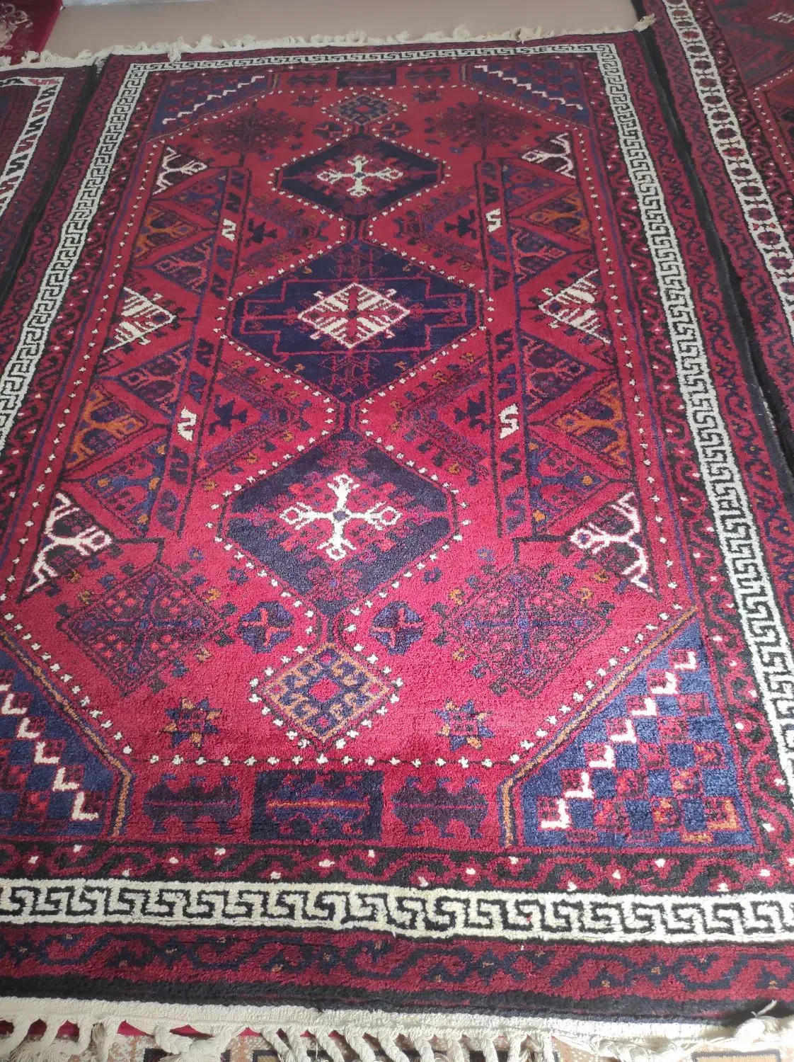 قالی محلی|فرش|میانکوه, |دیوار