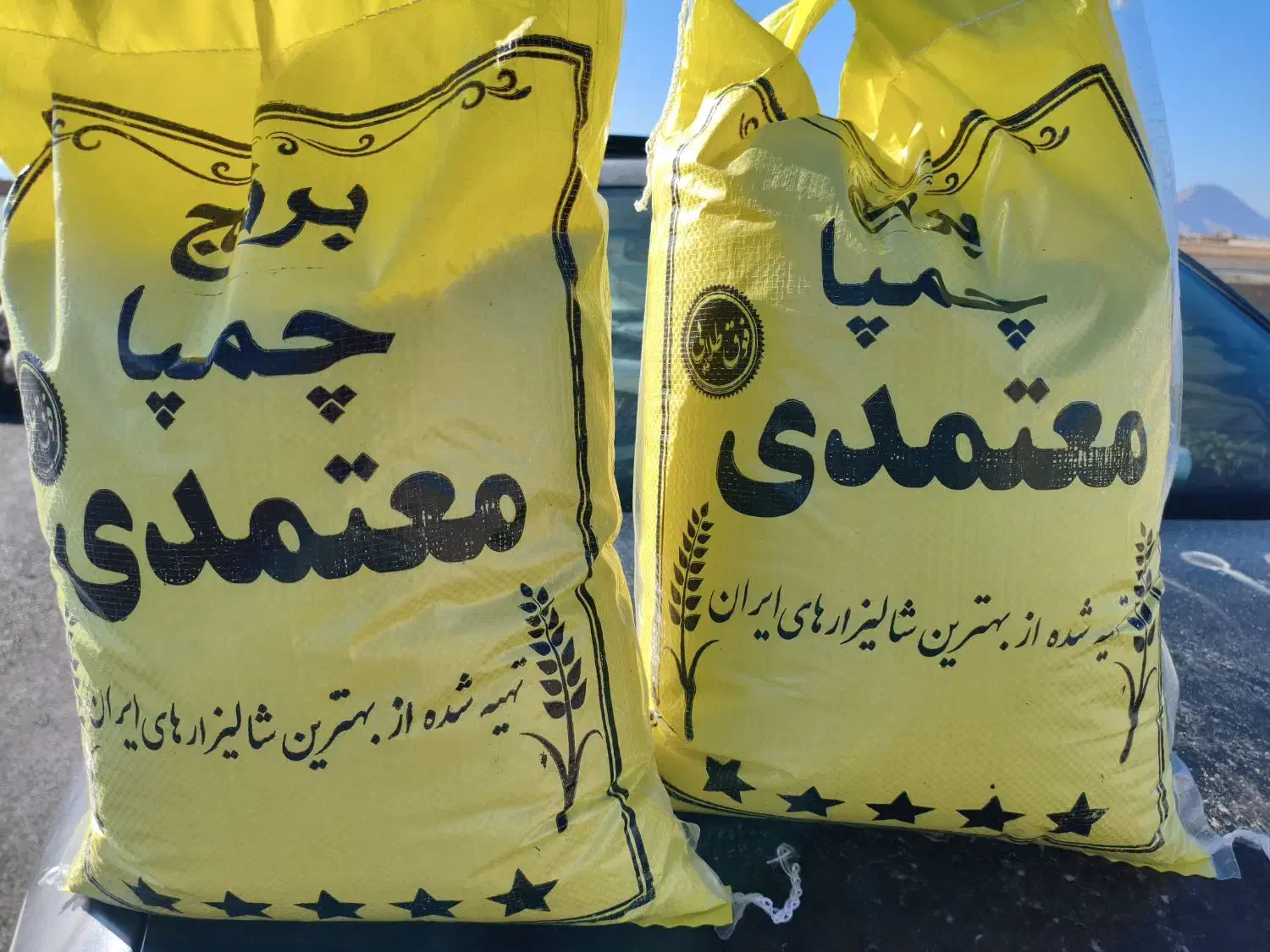 اصل چمپا|خوردنی و آشامیدنی|بروجن, |دیوار