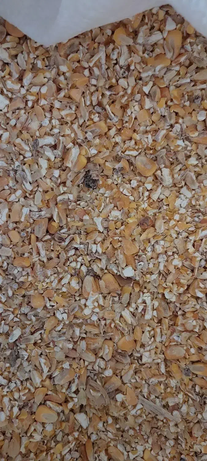 خوراک دام وطیور.و..|لوازم جانبی حیوانات|سیرجان, |دیوار