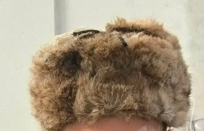 کلاه پوست خرگوش|کیف، کفش، کمربند|قدس, شهرقدس|دیوار