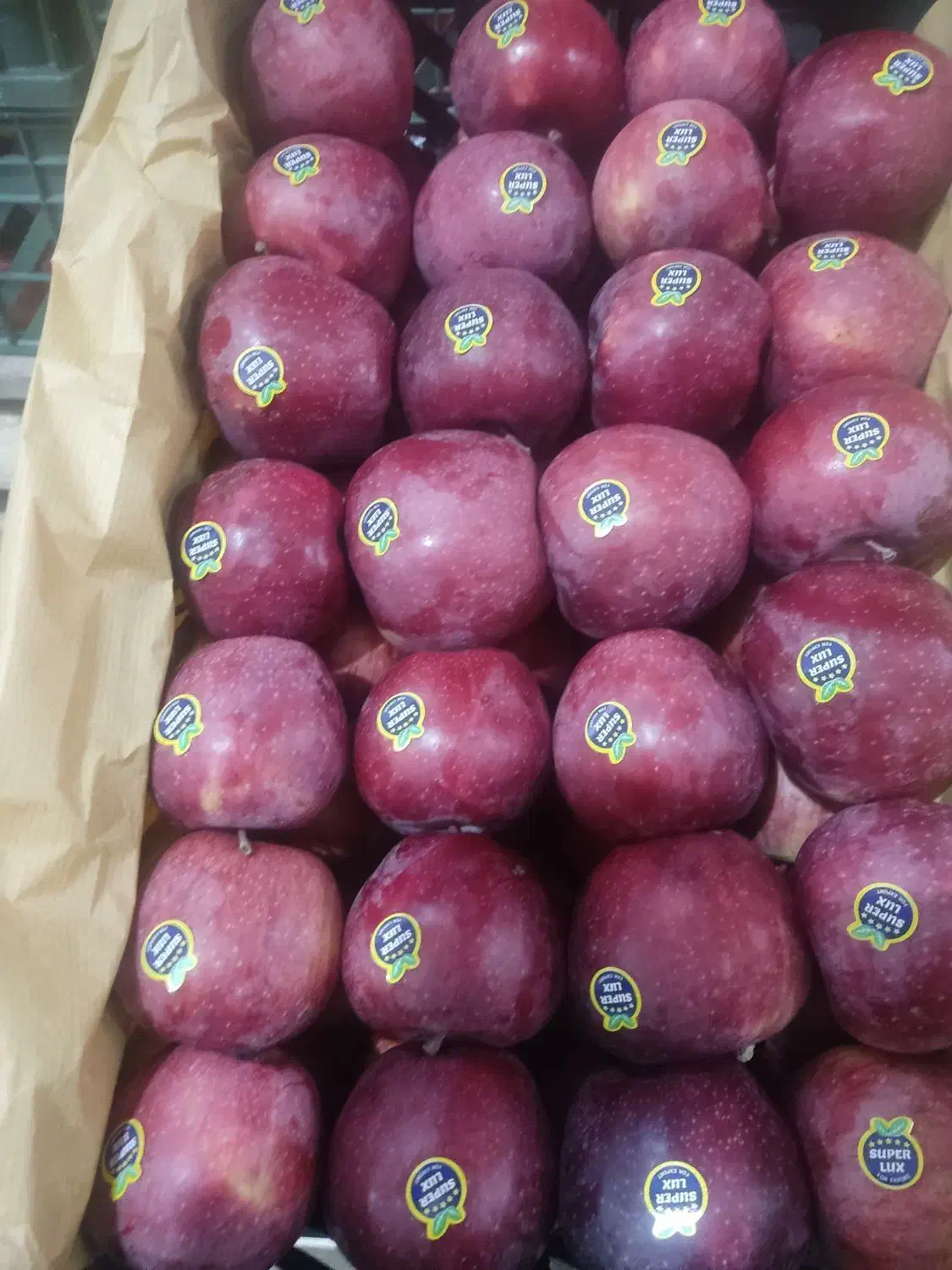 سیب درجه یک پول نقد|خوردنی و آشامیدنی|اهر, |دیوار