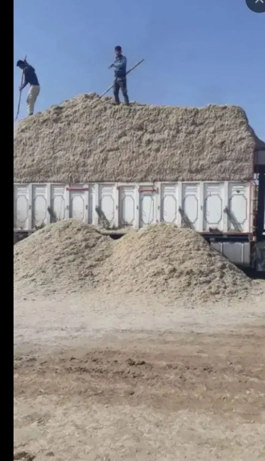 فروش و ارسال کاه نیشکر تفاله و پیت|عمدهفروشی|بندرعباس, |دیوار