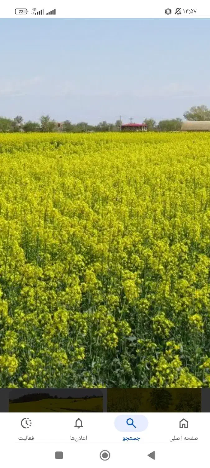 اجاره زمین کشاورزی|فروش دفتر صنعتی، کشاورزی، تجاری|سیمین شهر, |دیوار