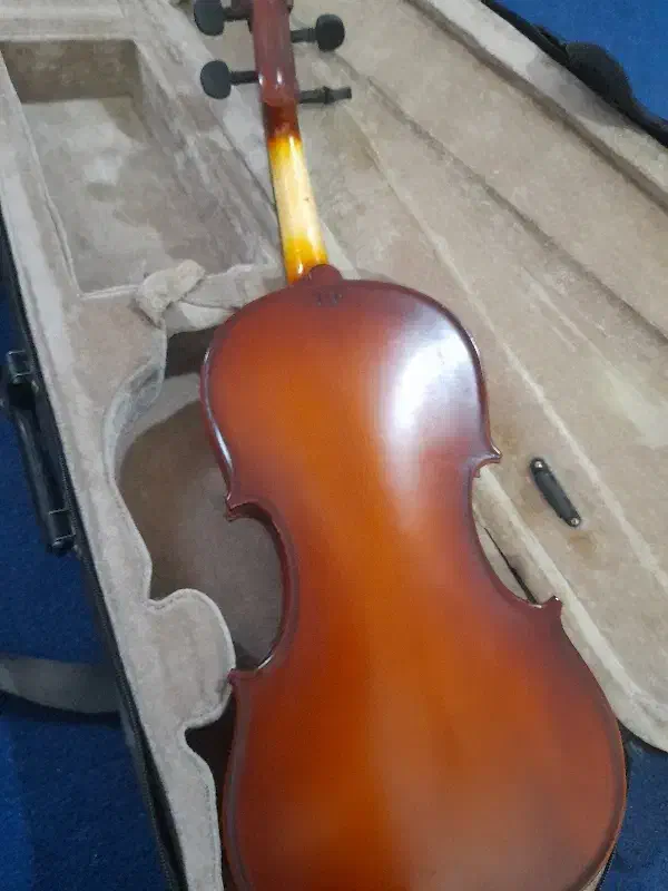 ویولن tf ۴/۴|ویولن|برازجان, |دیوار