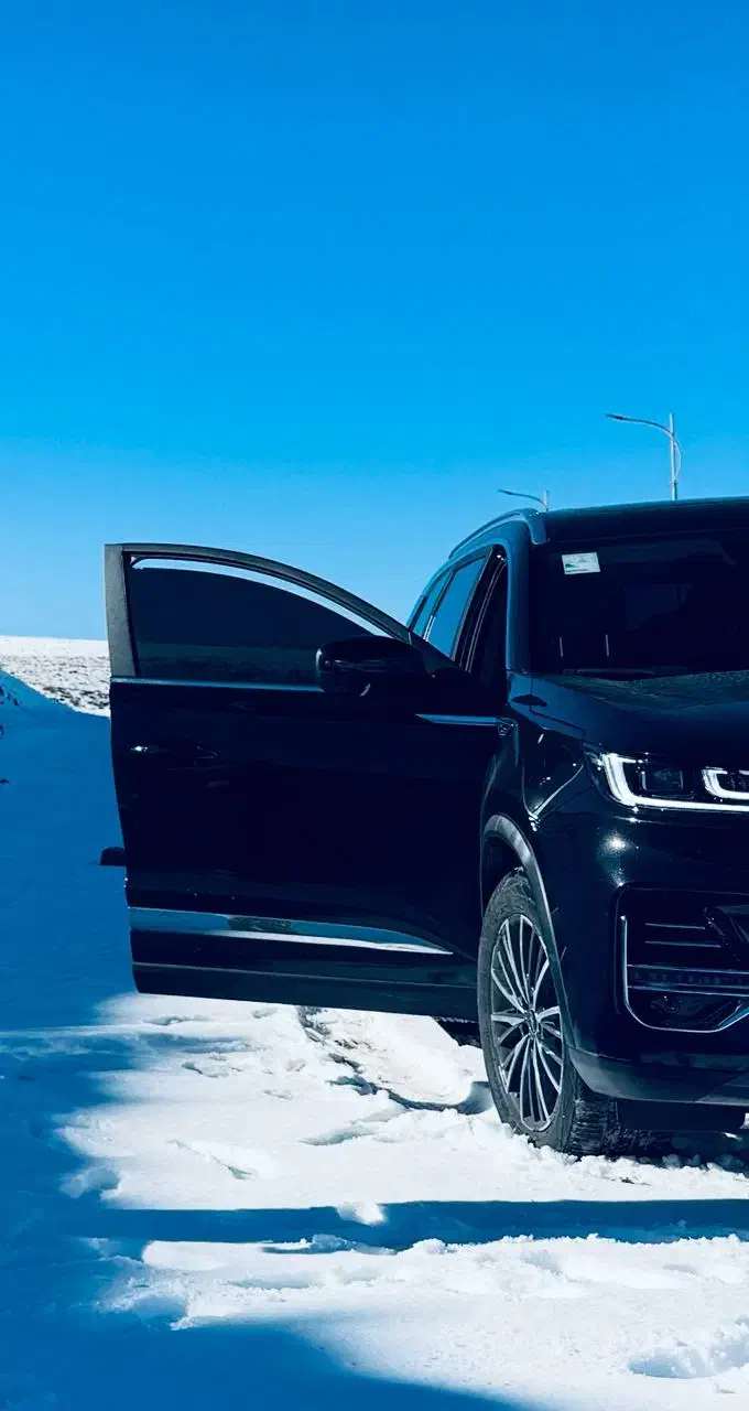 تیگو 8 پرو|خودرو سواری و وانت|پرند, فاز ۴|دیوار