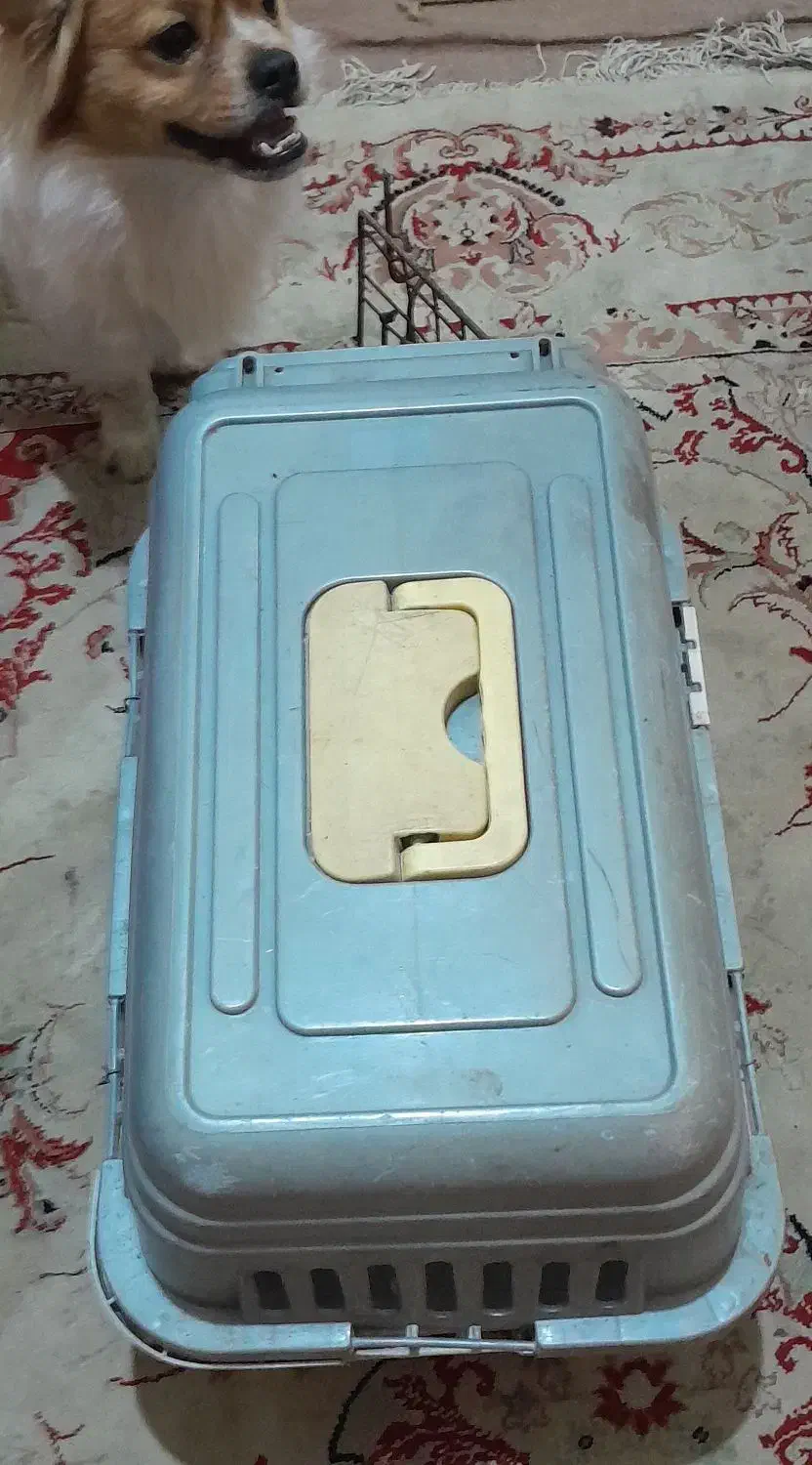 وسایل منزل|یخچال و فریزر|اهواز, بیست متری شهرداری|دیوار