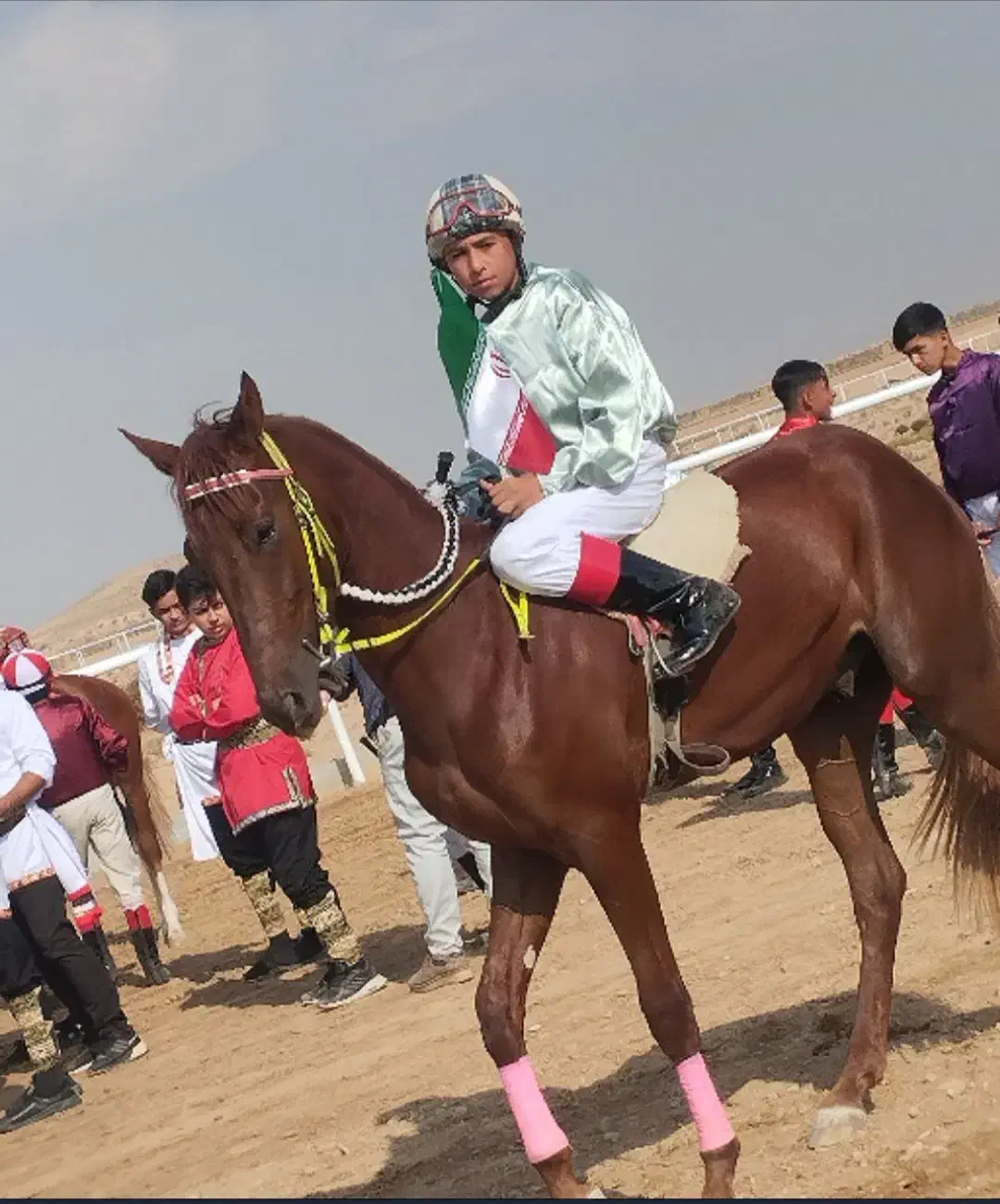 اسب ترکمن نریون|اسب و تجهیزات اسبسواری|جوین, |دیوار