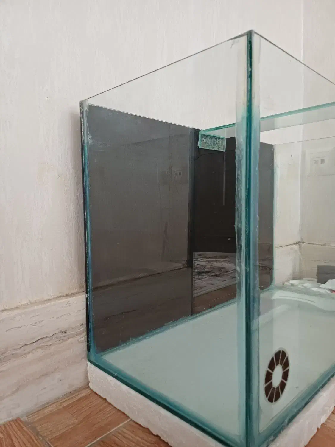 آکواریوم|ماهی|کرمانشاه, |دیوار