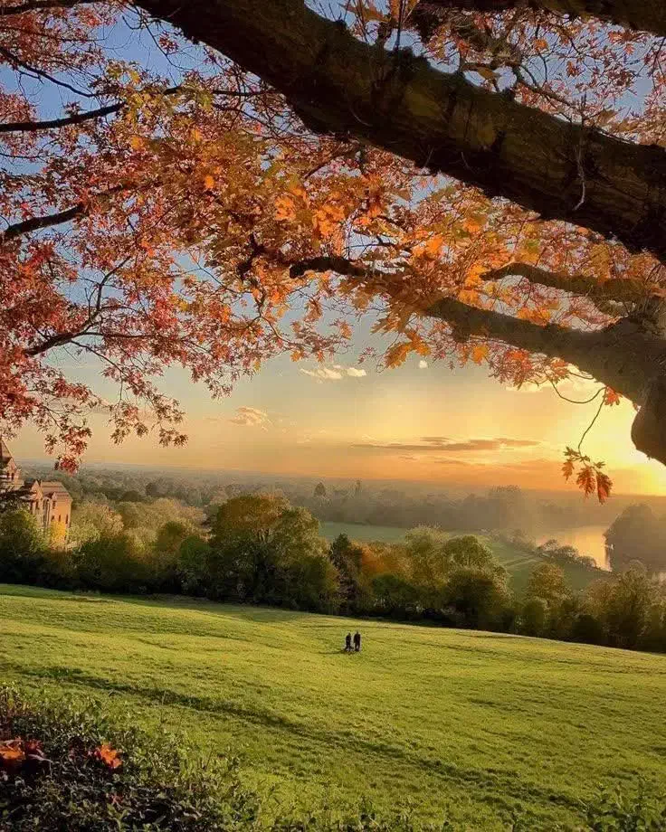 اجاره خانه  ۸۰ متری ۳ خوابه در الوندیه و گذر صادق|اجارهٔ خانه و ویلا|قم, الوندیه و گذر صادق|دیوار