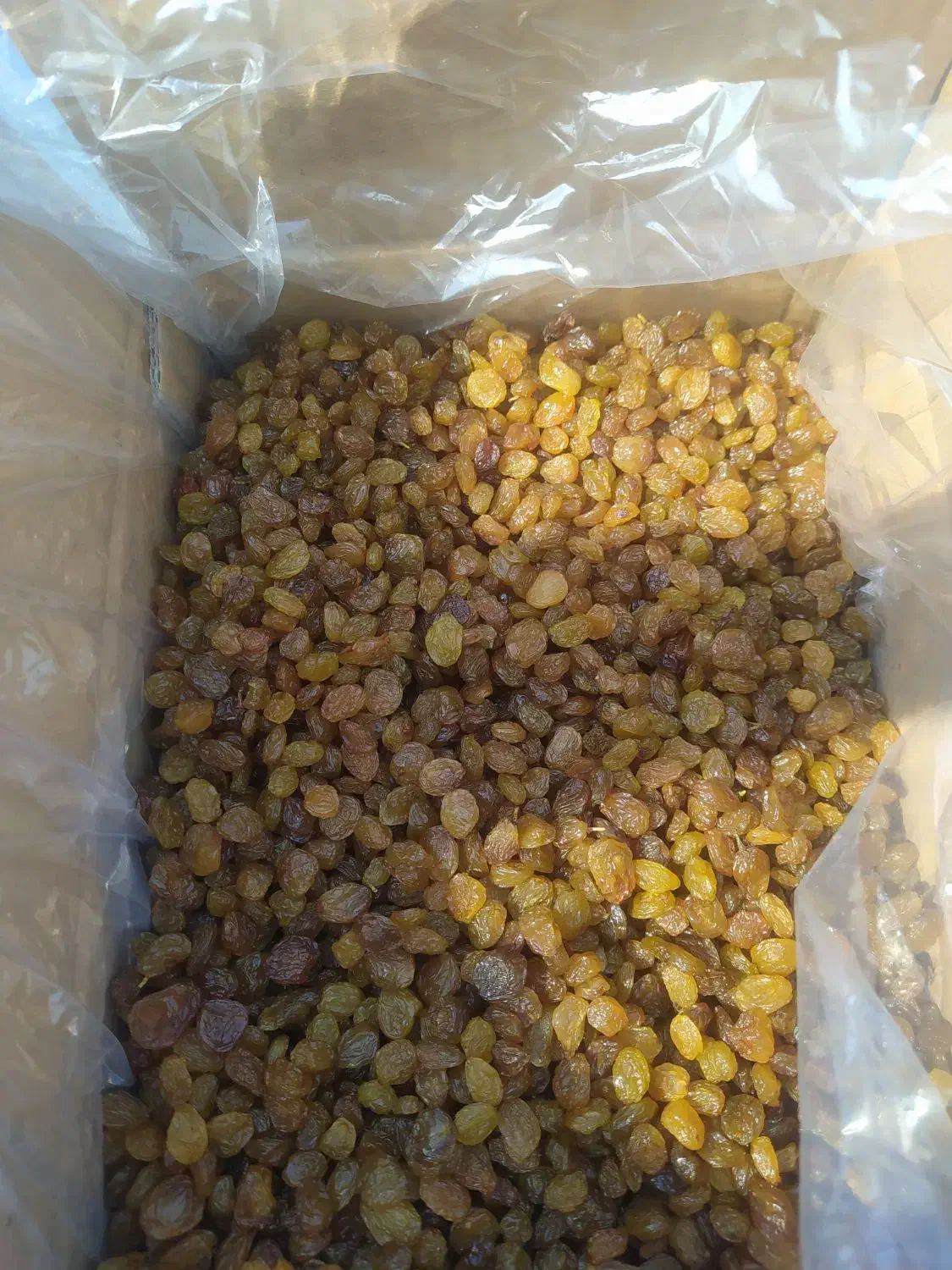 کشمش|خوردنی و آشامیدنی|اهواز, زیتون کارمندی|دیوار