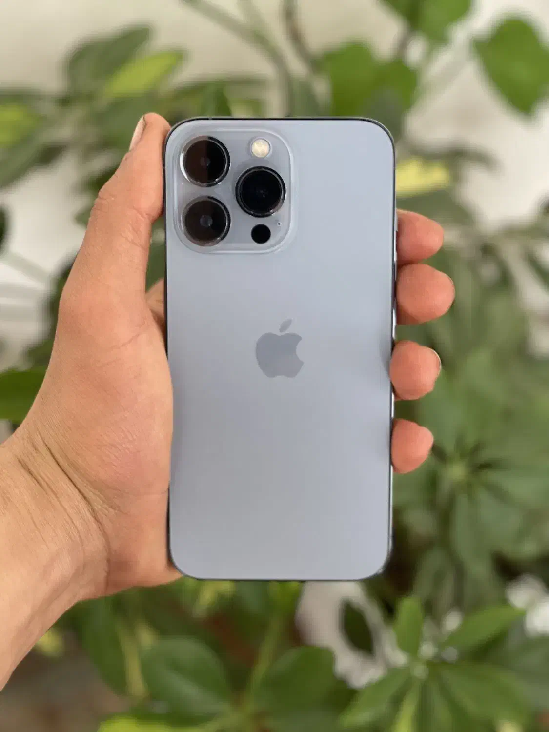 ایفون ۱۳پرو|موبایل|تهران, صادقیه|دیوار