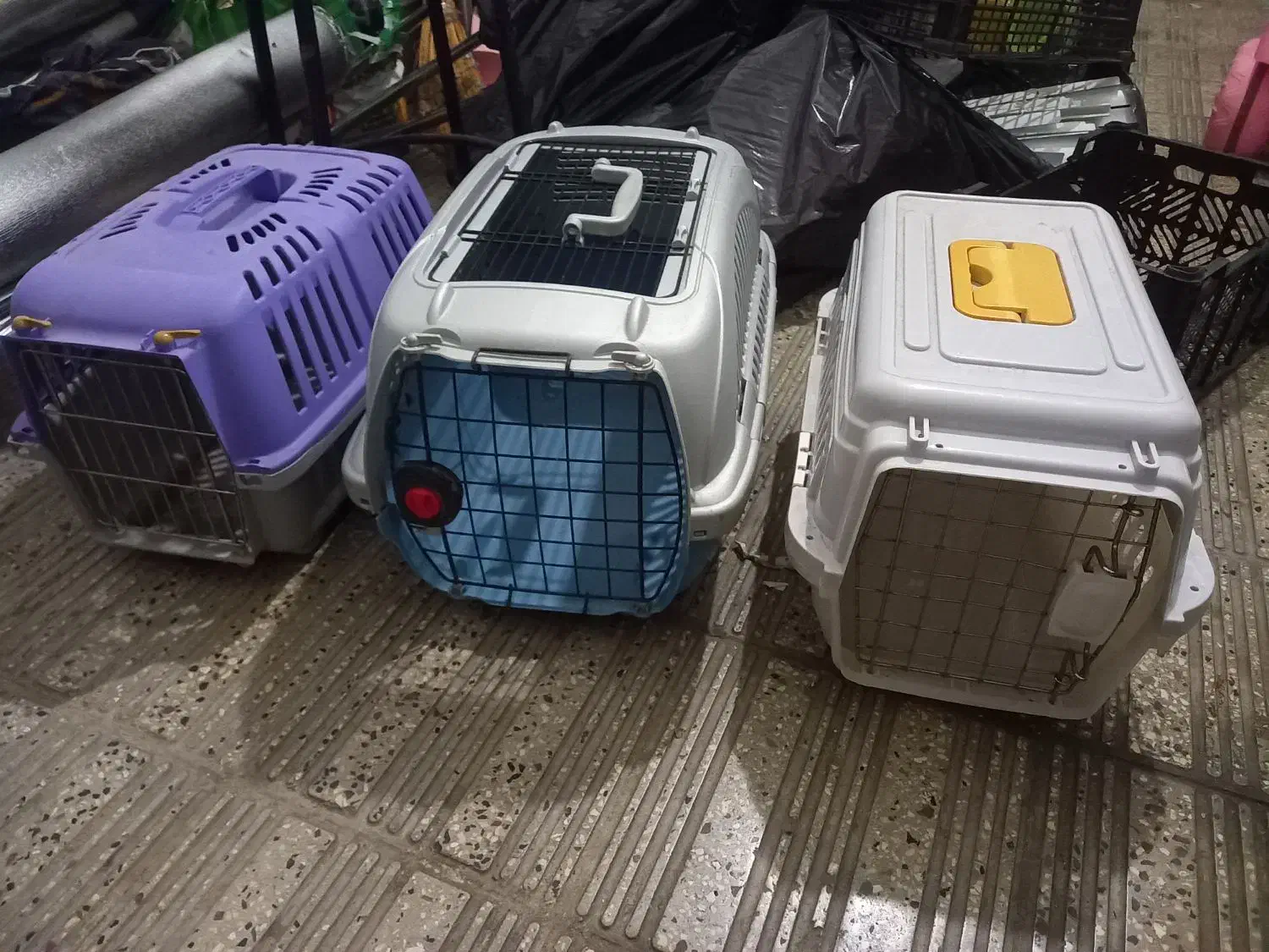 باگس ...قفس سگ|لوازم جانبی حیوانات|ساری, |دیوار