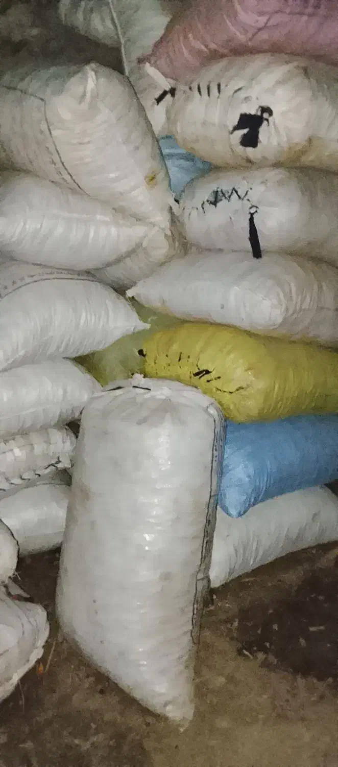 بلوط|عمدهفروشی|چگنی, |دیوار