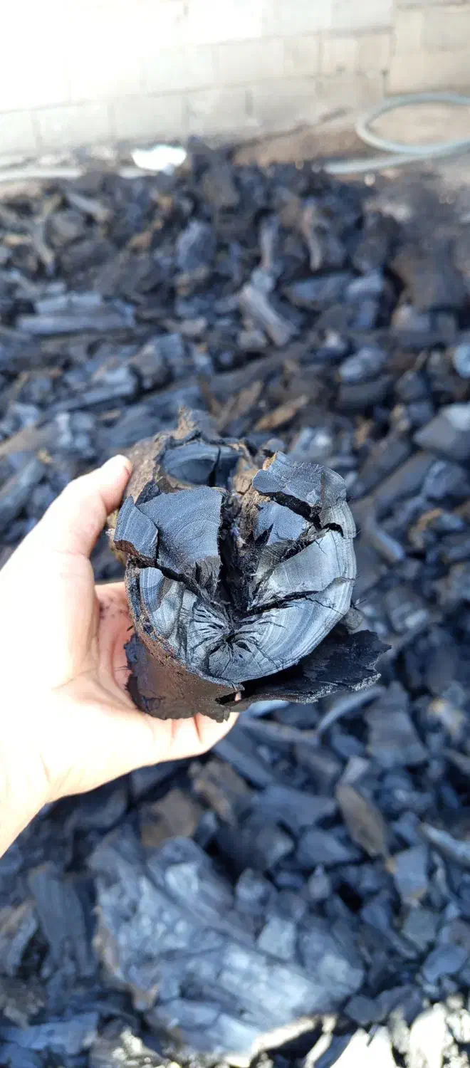 زغال کبابی با گارانتی کتبی|عمده‌فروشی|شوشتر, |دیوار