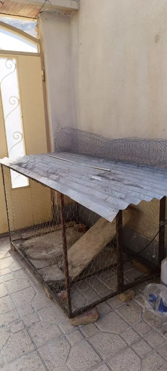 قفس|لوازم جانبی حیوانات|ماکو, |دیوار